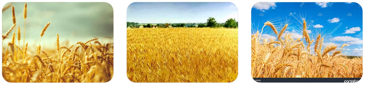 آآتلانتیس