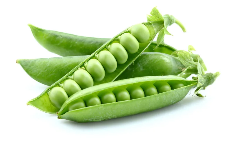 لوبیا و نخودفرنگی