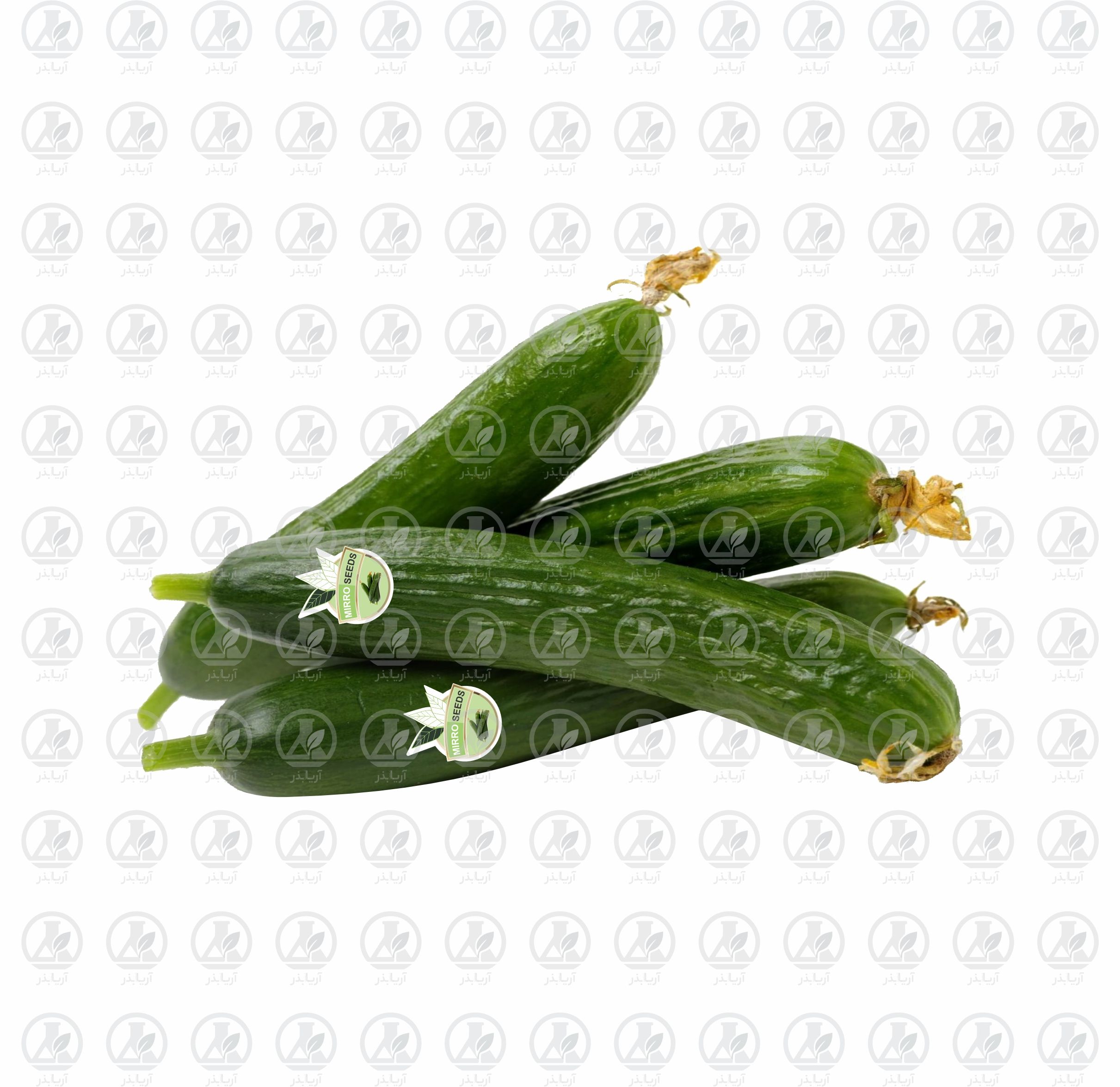 خیار