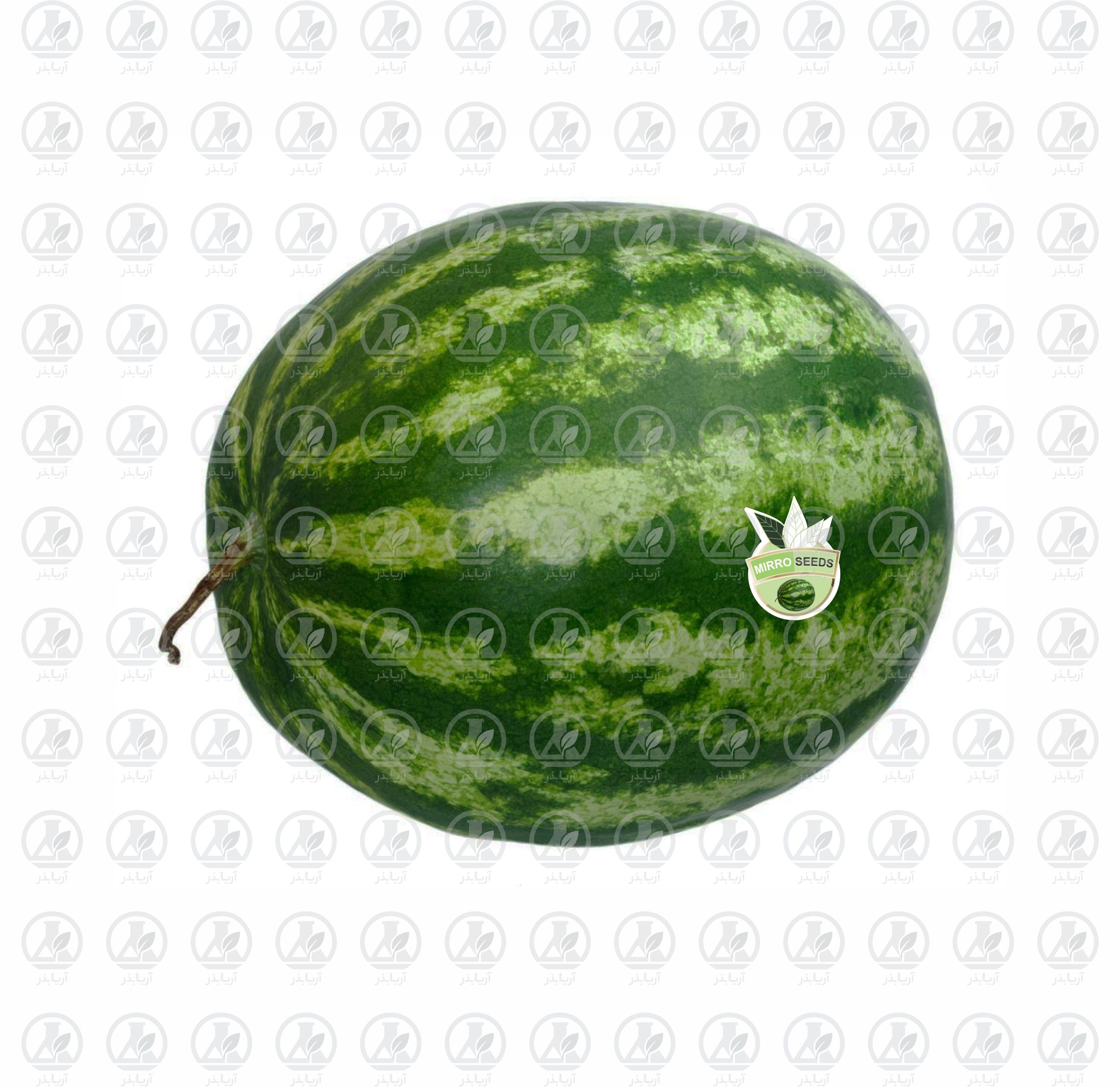 هندوانه